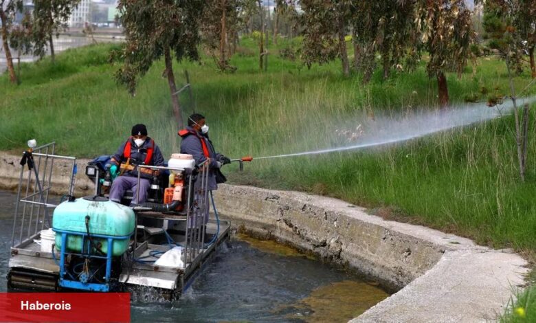 İstanbul'da sivrisinekle uğraşta tedbirler arttı - Haberois İstanbul'da sivrisinekle uğraşta tedbirler arttı