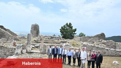 IV. Milletlerarası FoodFest Gastronomi Şenliği domates hasadı ile başladı