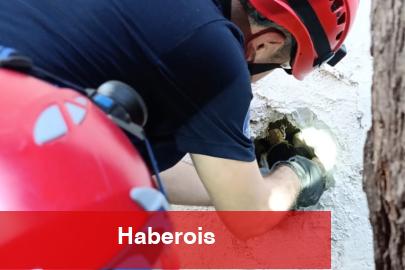 İzmir İtfaiyesi sıkışan kediyi kurtardı!