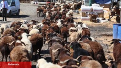 İzmir Karabağlar'da Kurban Bayramı öncesi örnek uygulama