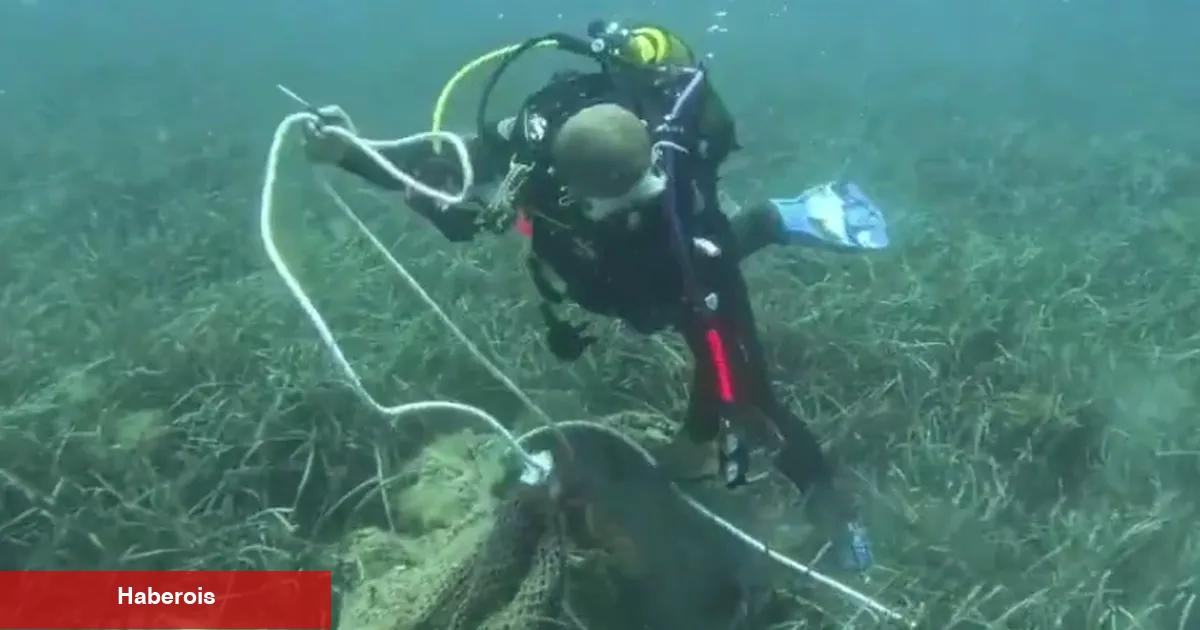 İzmir'de deniz tabanından 1,5 ton ağ çıkarıldı!