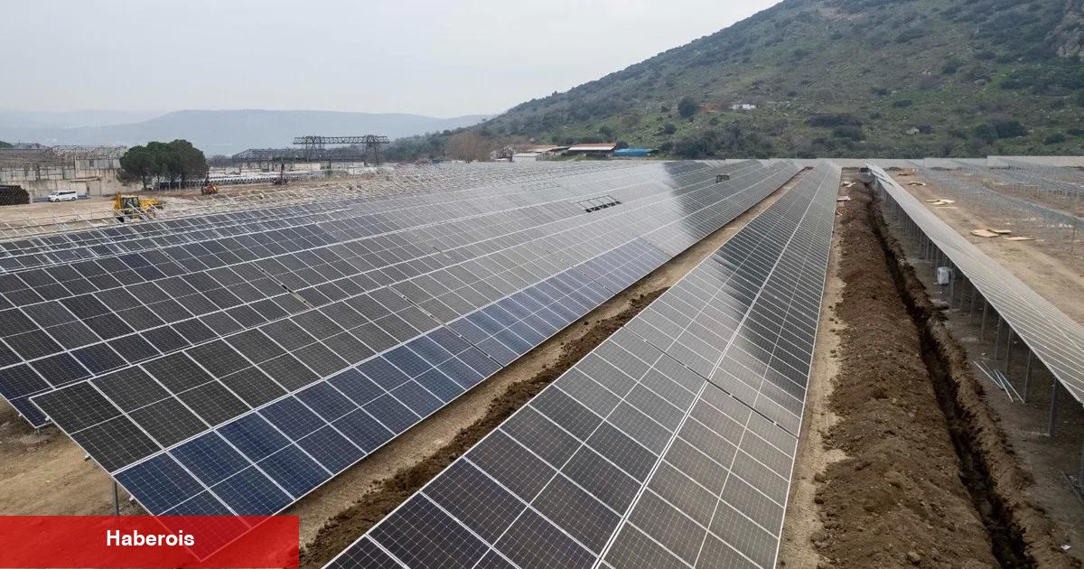 İzmir’in doğal hayatı teminata alınıyor