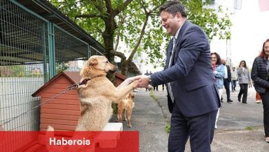 Kadıköy Belediyesi Süreksiz Hayvan Bakımevi Yenilendi