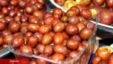 Kanı temizliyor! Karaciğeri yeniliyor: Hünnap meyvesinin yararları