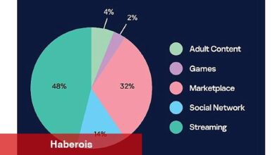 Kaspersky, kurumsal e-postalarla eşleşen sızdırılmış Netflix, Roblox ve Discord hesaplarını ortaya çıkardı