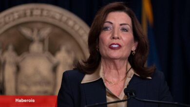 Kendisini 'Anne Valisi' olarak markalamak Hochul'un yeniden seçilmesine yardımcı olabilir mi?