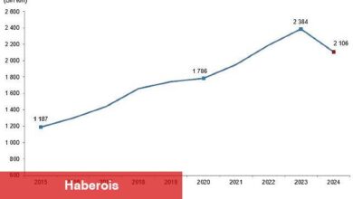 Kırmızı Et Üretim İstatistikleri, 2024