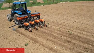 Kocaeli Büyükşehir'in takviyesiyle ekim mesaisi başladı