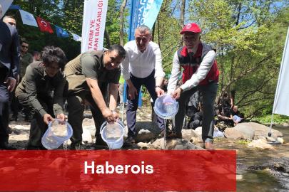 Kocaeli Kirazdere'ye 2 yılda 16 bin alabalık salındı