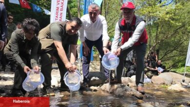 Kocaeli Kirazdere'ye 2 yılda 16 bin alabalık salındı