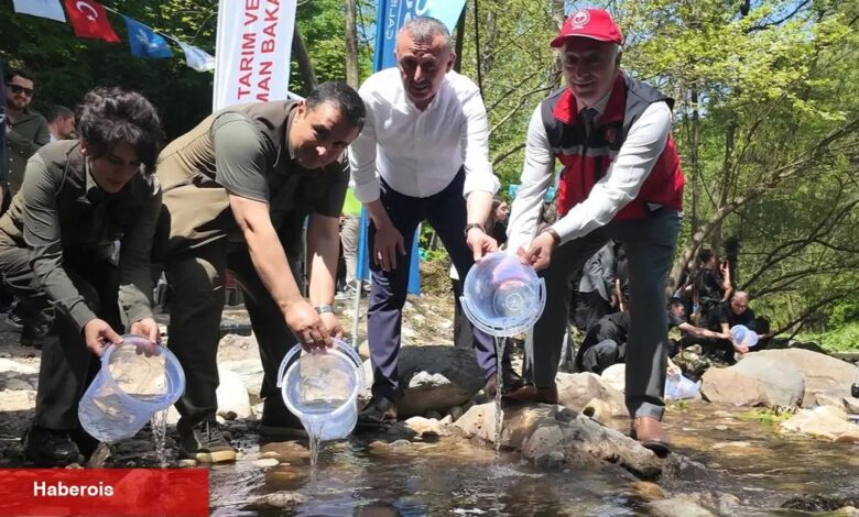 Kocaeli Kirazdere'ye 2 yılda 16 bin alabalık salındı - Haberois Kocaeli Kirazdere'ye 2 yılda 16 bin alabalık salındı