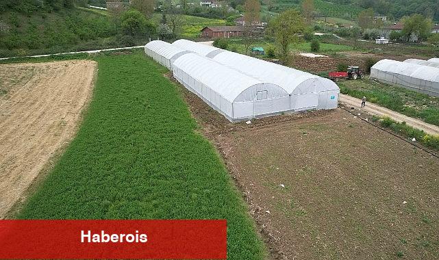 Kocaeli'nde tarım büyüyor, seracılık gelişiyor - Haberois Kocaeli'nde tarım büyüyor, seracılık gelişiyor
