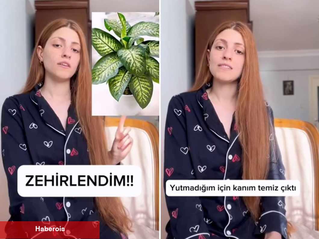 Konutta baktığı çiçekten zehirlenen genç bayan konuşamayacak hale geldi!