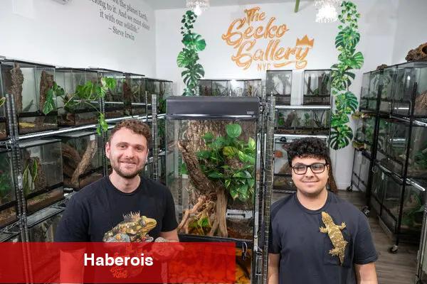 Küçük bir Brooklyn Hayvanat Bahçesi'nde düzinelerce Gecko türüyle tanışın - Haberois Küçük bir Brooklyn Hayvanat Bahçesi'nde düzinelerce Gecko türüyle tanışın