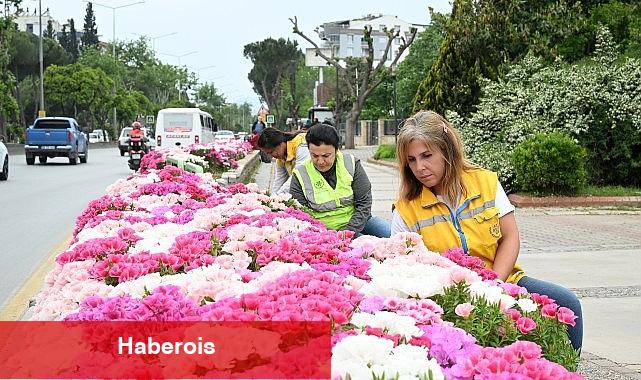 Lider Çerçioğlu Efeler'i Bahar Çiçekleri ile Süsledi