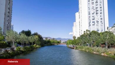 Lider Tugay İzmir’in “iklim nötr” çalışmalarını anlattı