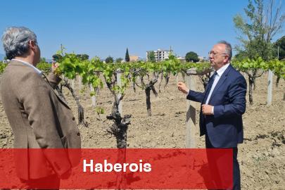 Manisa’da üreticilere genişletilmiş hibe desteği