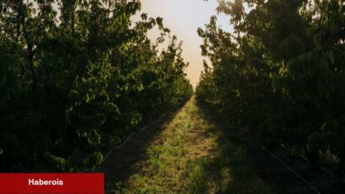 Manzadan Bürokrasi Turu: Ülkedeki en yavaş yüksek hızlı treni izleme
