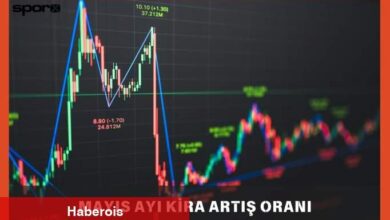 Mayıs Ayı Kira Artış Oranı 2025: Konut, Mesken, İşyeri Artırım Oranı