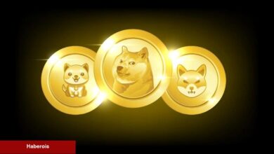 Memecoin Sezonu Geri Mi Geliyor? İşte Detaylar!