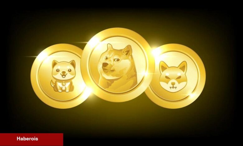 Memecoin Sezonu Geri Mi Geliyor? İşte Detaylar! - Haberois Memecoin Sezonu Geri Mi Geliyor? İşte Detaylar!