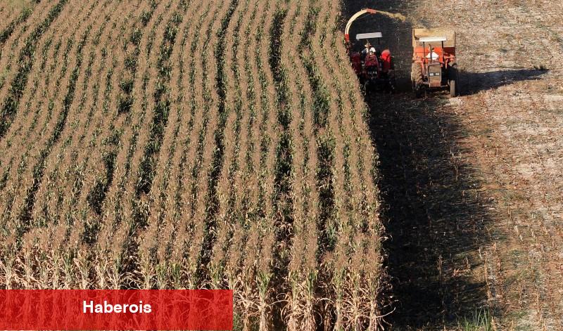 Mısır güç ezasını çözmek için 40-60 LNG kargosu satın almak için görüşmelerde bulunuyor