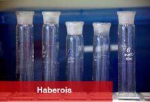 MS, Novonesis için Yük Artır tavsiyesi verdi, pay senedinin eski yüksek düzeylerine yanlışsız tekrar pahalanacağını söyledi