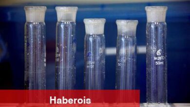 MS, Novonesis için Yük Artır tavsiyesi verdi, pay senedinin eski yüksek düzeylerine yanlışsız tekrar pahalanacağını söyledi