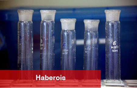 MS, Novonesis için Yük Artır tavsiyesi verdi, pay senedinin eski yüksek düzeylerine yanlışsız tekrar pahalanacağını söyledi - Haberois MS, Novonesis için Yük Artır tavsiyesi verdi, pay senedinin eski yüksek düzeylerine yanlışsız tekrar pahalanacağını söyledi