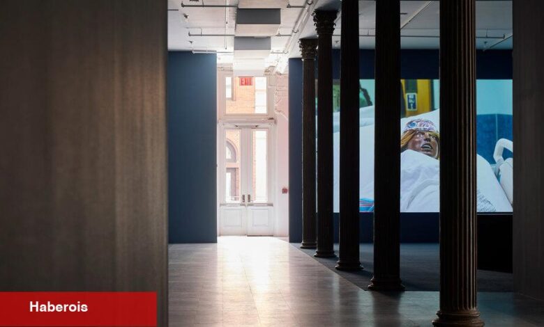 Nesillerce sanatçının başladığı New York kar amacı gütmeyen kuruluş - Haberois Nesillerce sanatçının başladığı New York kar amacı gütmeyen kuruluş