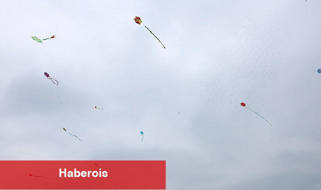 Nilüfer'de gökyüzü uçurtmalarla renklendi