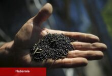 Nufarm zayıf yarıyıl yararları ve tohum ünitesi incelemesi nedeniyle %20’den fazla düştü