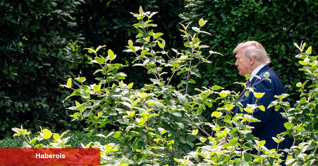 Pardons en son Trump Flex olur