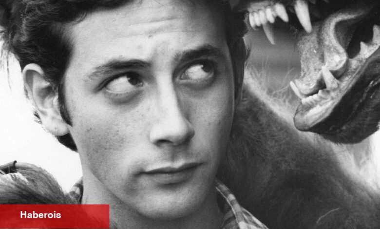 Pee-Wee'nin Mirası: Hırslı Tuhaflar Ağı - Haberois Pee-Wee'nin Mirası: Hırslı Tuhaflar Ağı