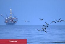 Petrol fiyatları Trump’ın gümrük vergisi meçhullüğü ile düştü, OPEC+ kararı odakta
