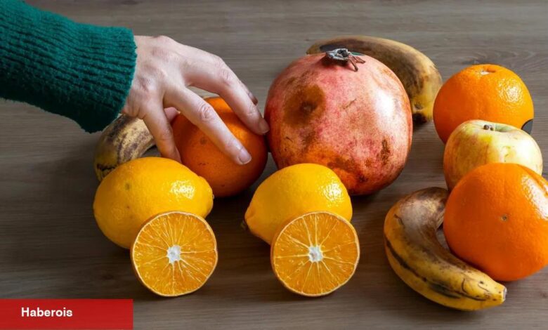 Sağlıklı uzun ömür için bilimsel tahliller - Haberois Sağlıklı uzun ömür için bilimsel tahliller