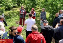 Sakarya'da çiftçilere feromon tuzağı ulaştırıyor