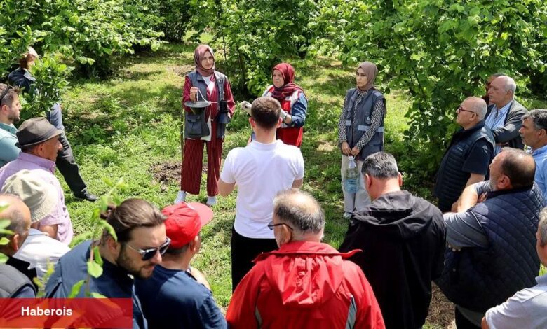 Sakarya'da çiftçilere feromon tuzağı ulaştırıyor - Haberois Sakarya'da çiftçilere feromon tuzağı ulaştırıyor