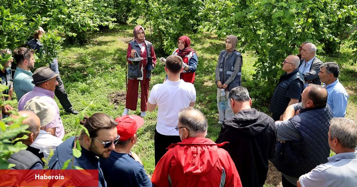 Sakarya'da çiftçilere feromon tuzağı ulaştırıyor