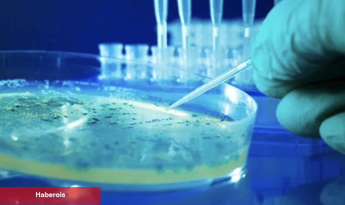 Salmonella'dan korunmanın 5 yolu