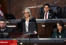 Savunmasız bir vali ve partiler içi bir kan davası, Demokratlar için engebeli bir yola işaret