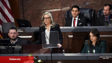 Savunmasız bir vali ve partiler içi bir kan davası, Demokratlar için engebeli bir yola işaret