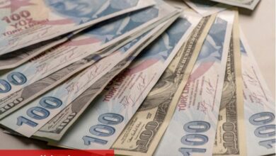 SEB açıkladı: "Dolar/TL, 2026’nın birinci yarısında 50’yi görebilir"