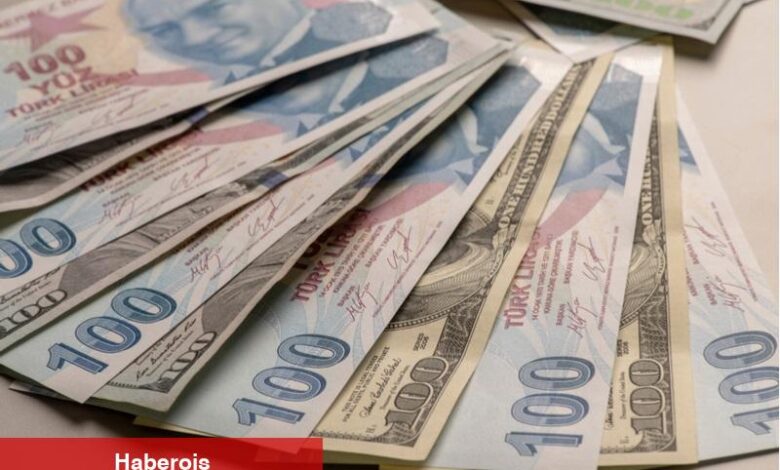 SEB açıkladı: "Dolar/TL, 2026’nın birinci yarısında 50’yi görebilir"