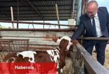 Selendili Üreticilere "Tek Dam Projesi" Anlatıldı