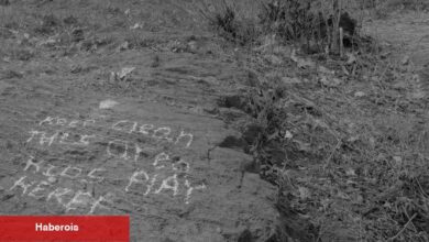 Sevgili bir Bronx parkında, bir mahallenin uyuşturucu krizi tam sergileniyor