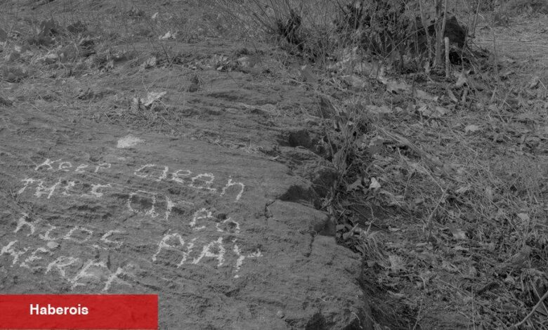 Sevgili bir Bronx parkında, bir mahallenin uyuşturucu krizi tam sergileniyor - Haberois Sevgili bir Bronx parkında, bir mahallenin uyuşturucu krizi tam sergileniyor