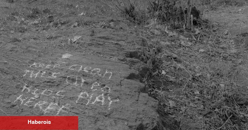 Sevgili bir Bronx parkında, bir mahallenin uyuşturucu krizi tam sergileniyor