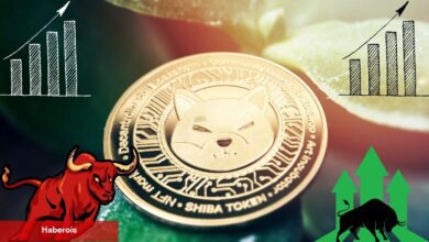 Shiba Coin’de Boğa Bayrağı Sinyalleri Oluşuyor!