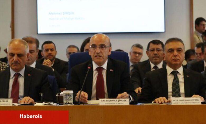 Şimşek: Programı kararlı bir formda uygulamaya devam edeceğiz